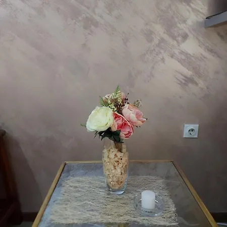 Neca شقة Vrnjačka Banja