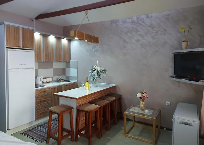 Neca 公寓 Vrnjačka Banja