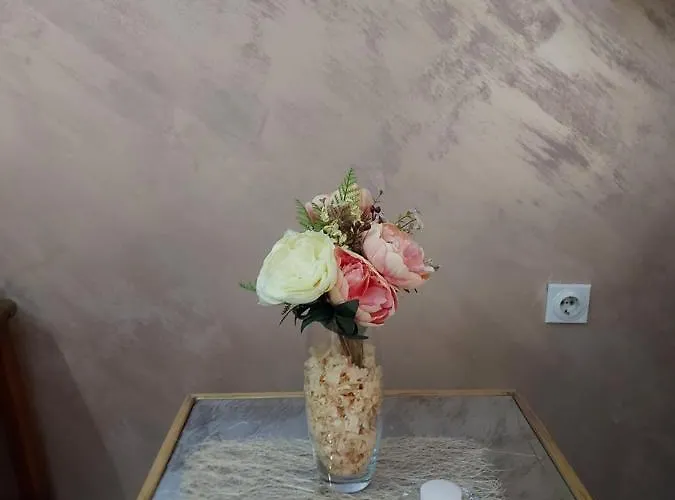 Neca 公寓 Vrnjačka Banja