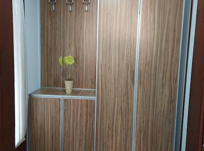 Neca 公寓 Vrnjačka Banja